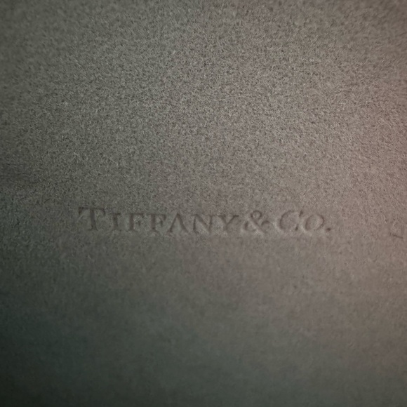 Tiffany & Co. Translucent Gray Eyewear - Picture 8 of 15